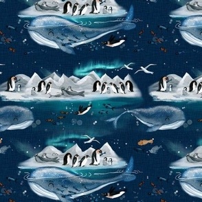 Antarctic Penguins Whale Seals Aurora Borealis Northern Lights Mountains