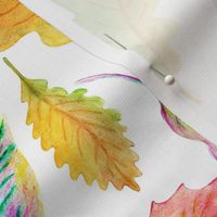 Colourful autumn leaves on a white background.