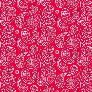 Red Pepper Paisleys