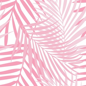3 color Pink fronds 