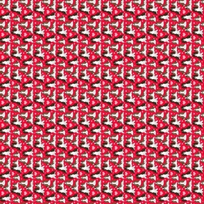 Cavalier King Charles Spaniel on red 2x2 sideways