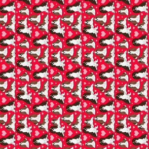 Cavalier King Charles Spaniel on red 4x4 sideways