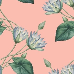 Lotus Flower Trellis Floral in Peach