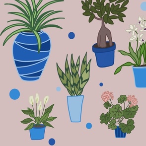 laticauda_lovely pattern_lovely plants