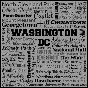 Wash DC_ gray 18 inch framed