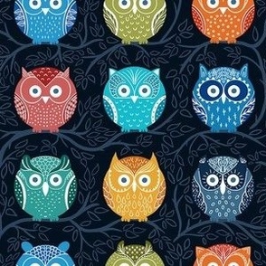 Rainbow Owls (s)