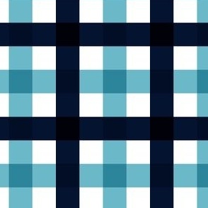 Blue Gingham