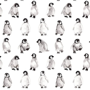 Emperor Penguin Chicks on White