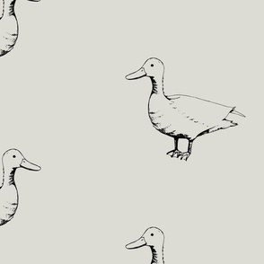 cute hand drawn ducks on soft cloud grey medium  scale