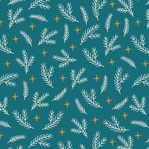 Winter White On Teal Small