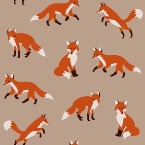Foxes on Tan