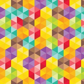 Colorful Hexagon - Large Scale