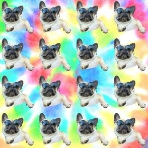 Groovy Frenchie Baby