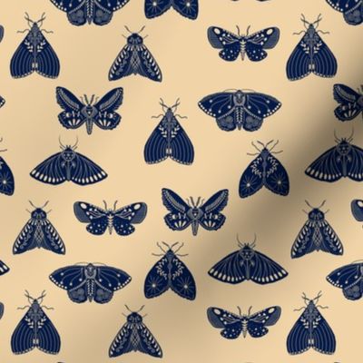 Folk Art Moths, Midnight on Sand