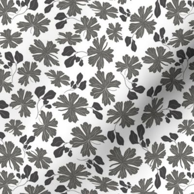 Black & White Floral Leaf Design #03 - Brighton Park