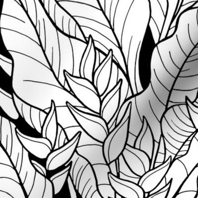 medium-Tropical Rainforest leaves with Heliconia-black and white