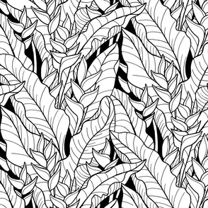 medium-Tropical Rainforest leaves with Heliconia-black and white