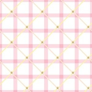 Gingham and Plaid - Pink Star Spangled Gingham
