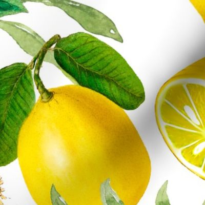 Summer, citrus ,floral Sicilian style ,lemon fruit pattern 