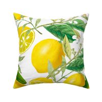 Summer, citrus ,floral Sicilian style ,lemon fruit pattern 