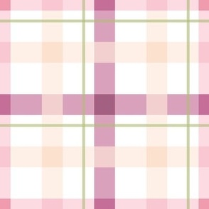 Gingham and Plaid - Pink Peach Merlot  Plaid - 1 inch scale