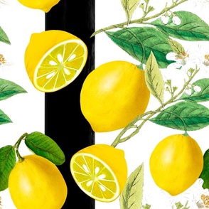Summer, citrus ,stripes,floral Sicilian style ,lemon fruit pattern 