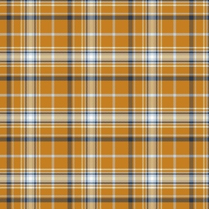 Desert Sun Plaid Small