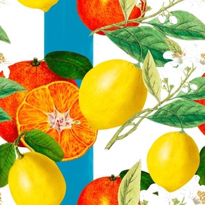 Summer, citrus ,oranges,floral Sicilian style ,lemon fruit pattern 