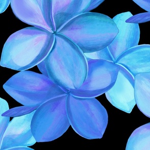 Jumbo double-blue plumeria-on black