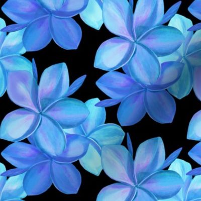 small double-blue plumeria-on black