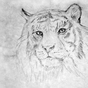 Gray Pencil Tiger Revised for Pillow