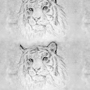 Gray Pencil Tiger Rectangular format Revised