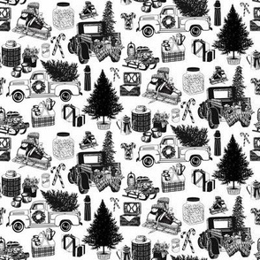 Holiday Tailgate Toile Black