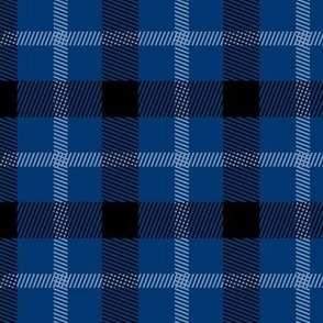 Wild west traditional gingham plaid design christmas texture tartan eclectic blue black and white