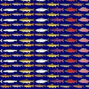 22 Trout and Salmon 1in midnight blue