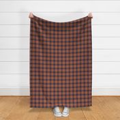 Wild west traditional retro gingham plaid design christmas texture tartan rust eclectic blue blush retro palette