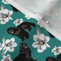 Newfoundland Dog Standing Teal Dog Fabric