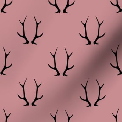 2" antlers on dusty rose