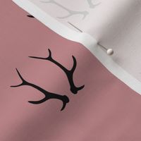 2" antlers on dusty rose