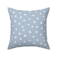 stars succulent blue