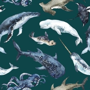 deep sea animals on ocean depth