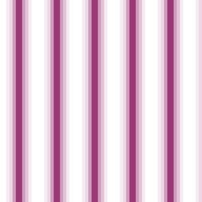 Peony Wide Gradient Stripes on White