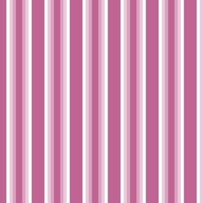 Peony Pink Gradient Stripes