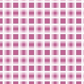 Peony Gradient Plaid