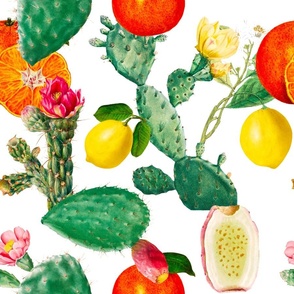 Cactus,cacti,succulent,plants, lemons,citrus,Sicilian ,exotic pattern 
