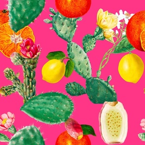 Cactus,cacti,succulent,plants, lemons, citrus,Sicilian ,exotic ,pattern 