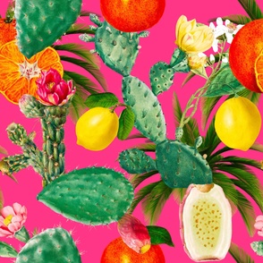 Cactus,cacti,succulent,plants, lemons, citrus,Sicilian ,exotic ,pattern 