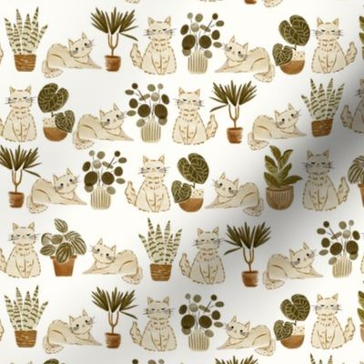 cute cats in beige with tropical houseplants in terracotta pots