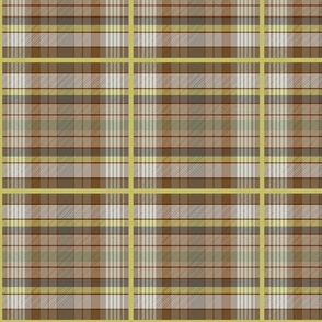 Basil's tartan #13