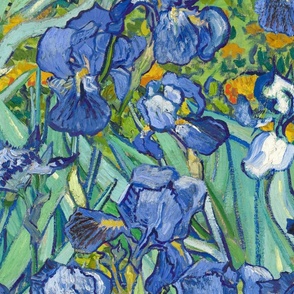 Vincent Van Gogh Irises Large 